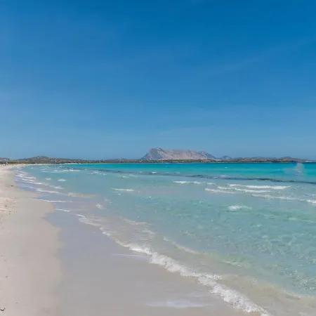 Omer By Interhome Holiday home San Teodoro (Sardinia)