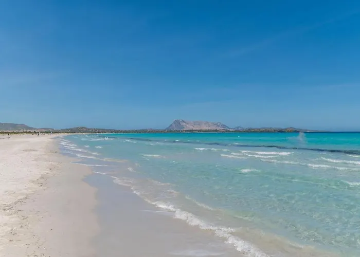 Omer By Interhome Ferienhaus San Teodoro (Sardinia)
